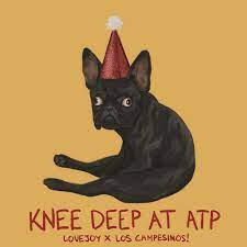 knee deep at ATP - lovejoy